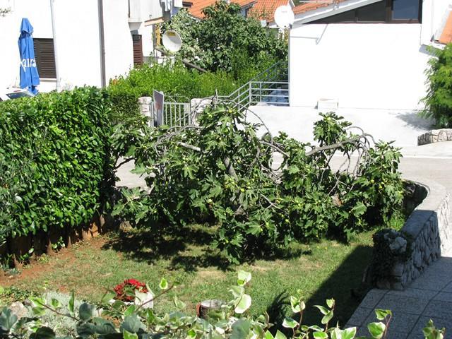 Apartman "Ela" Njivice Exterior foto